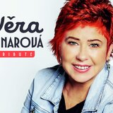 kytarista do revivalu