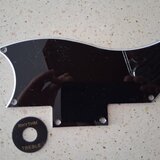 Pickguard SG