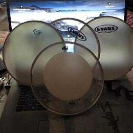 Dw drums & Evans & Remo Encore vše 8"