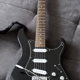 Line6 Variax Standard