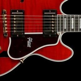 Pickguard, panel neboli slinták na ES-339