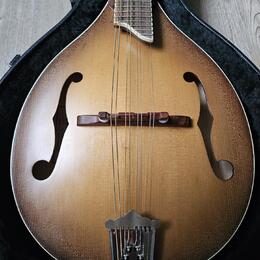  Zánovní česká celomasivní mandolína ULMA Jimmy 3 s kufrem
