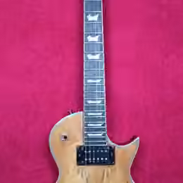 Prod&aacute;m Les Paul B&Ch - sleva !!