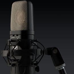Warm Audio WA 14 (výměna možná)