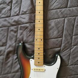 Tacoma stratocaster Japan