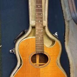 Washburn EA 45N