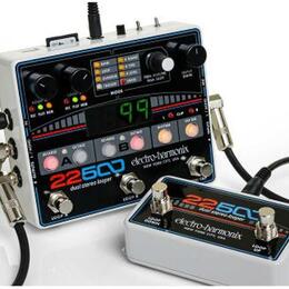 electro harmonix 22500 + foot controller