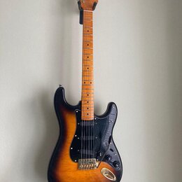 EMG aktive Partscaster