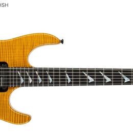 Hamer 1990 Chaparral Elite USA Sustainiac