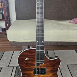 Prodám kytaru TAYLOR T3.