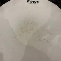 Blány Evans 16”, 12”