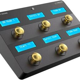 Singular Sound Midi Maestro GE Stompbox (gold)