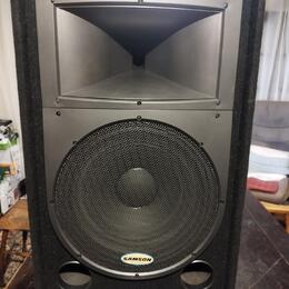 Samson Resound RS 15