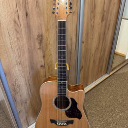 Crafter 12 String DE8-12/N