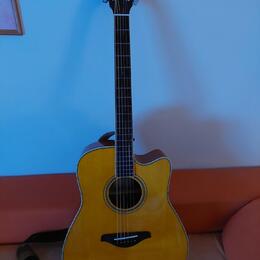 YAMAHA FGC-TA