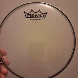 Remo Ambassador 8"