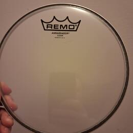 Remo Ambassador 8"