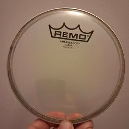 Remo Ambassador 6"