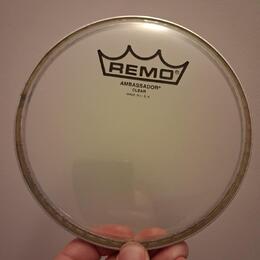 Remo Ambassador 6"