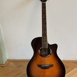 Yamaha APX 500