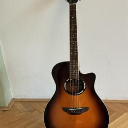 Yamaha APX 500