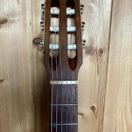 Godin Tele AcoustiClassic (Pre-Multiac) 1995