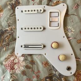 Pickguard na kytary Jolana, Grazioso, Futoráma,  nebo jiné ?