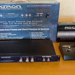 Rocktron Blue Thunder  + midi exchanger