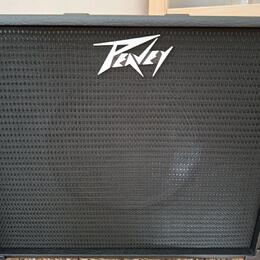 PEAVEY EXCENTIAL CABINET