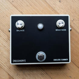 ENDLESS SUMMER-  Real Spring Reverb Booster