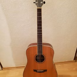 Cort PW-310R celomasivn&iacute;