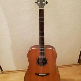 Cort PW-310R celomasivní