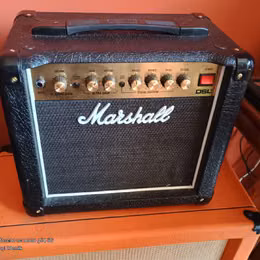 Marshall DSL1 