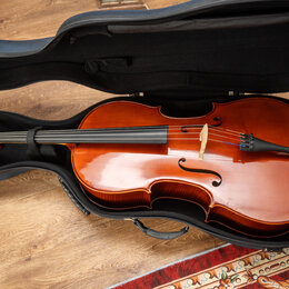 Mistrovské, ručně vyráběné violoncello