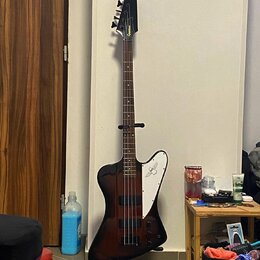 Tmavě hnědá elektrická basová kytara s bílým plechtrzem a černým hmatníkem. Na hlavě nástroje je zlatý nápis "Gibson". Tělo má atypický, asymetrický…