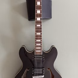 D'Angelico Premier DC (335 style)