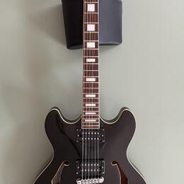 D'Angelico Premier DC (335 style)