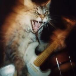 Alt rock projekt