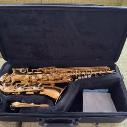 Nov&yacute; altsaxofon Yamaha YAS-280