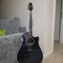 Predám Takamine LTD2021 blue rose