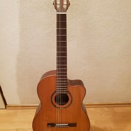 Ortega RCE159SN