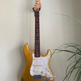 Parts-caster Strat, Vegas-gold, Fender Player krk