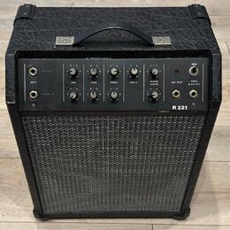 Regent R221 - kombo 30W