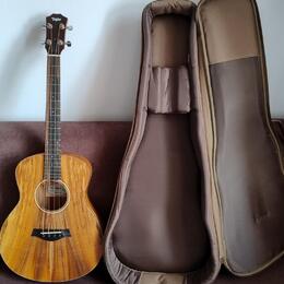 Taylor GS mini KOA-e bass