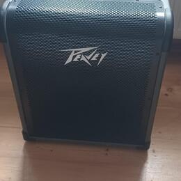 Peavey max 100