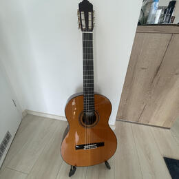 Pablo Vitaso VCG-40C