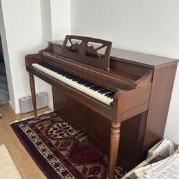 Koupim "Wurlitzer" nebo vizualne podobny nastroj