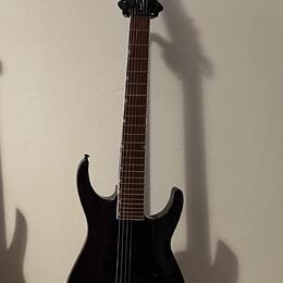 ESP LTD SH-207 Brian Welch Signature See Thru Purple