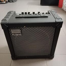 ROLAND CUBE 30 Cosm