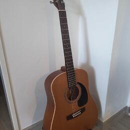 Seagull S6 CEDAR